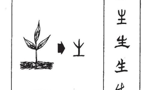 肌氨苷肽功效与作用及禁忌-肌氨苷肽功效与作用网- 肌氨肽苷是治什么病的知识,分享肌氨苷肽功效与作用及副作用