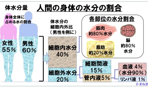 肌氨肽苷一支价格表-肌氨苷肽功效与作用网- 肌氨肽苷是治什么病的知识,分享肌氨苷肽功效与作用及副作用